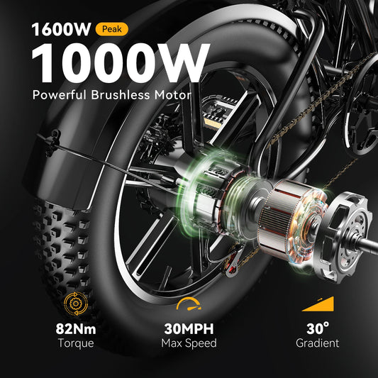 1000W Motor 20" Fat Tire 48V 20/30AH Battery Powered Electric 80Miles+ 30MPH Outdoor E-bike