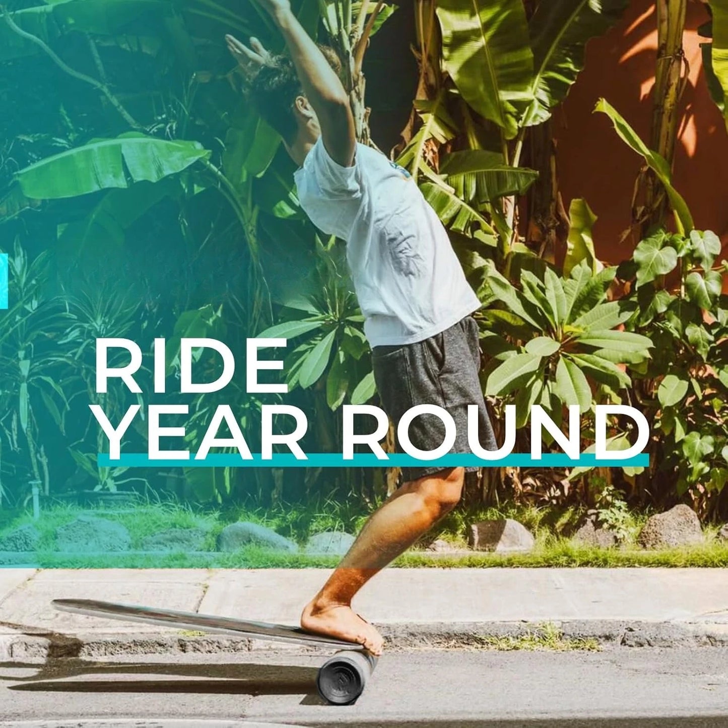 Surf & Paddle Balance Board Trainer