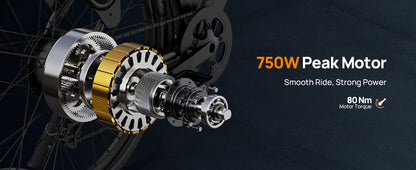 750W E26 Electric Bike for Adults | 48V 10.4Ah Removable Battery, Top Speed 20MPH, 26''X2" Standard Tire, 7-Speeds