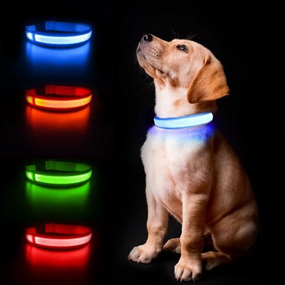 Dog Collar Luminous Pet Supplies Dog Collar Waterproof Safety Collars