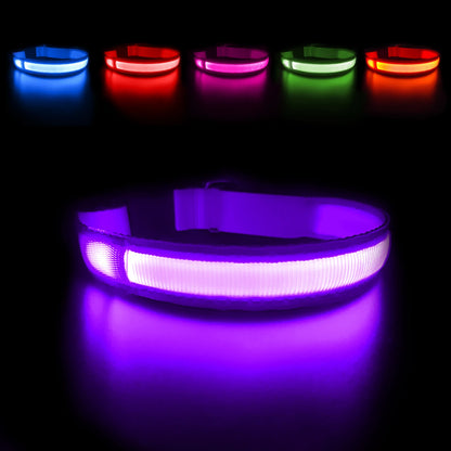 Dog Collar Luminous Pet Supplies Dog Collar Waterproof Safety Collars
