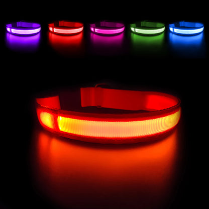 Dog Collar Luminous Pet Supplies Dog Collar Waterproof Safety Collars
