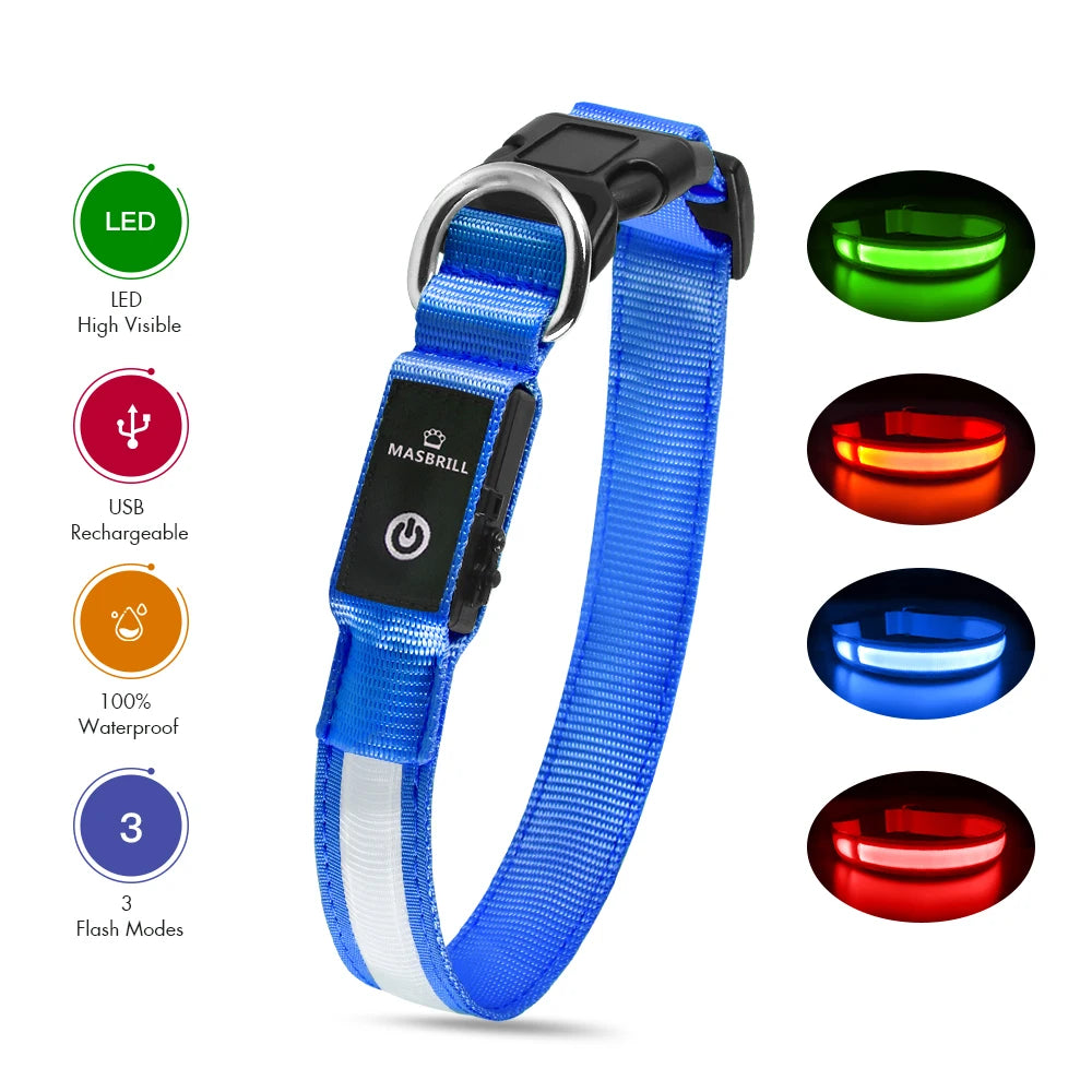 Dog Collar Luminous Pet Supplies Dog Collar Waterproof Safety Collars