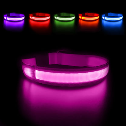 Dog Collar Luminous Pet Supplies Dog Collar Waterproof Safety Collars