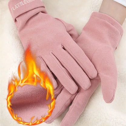 Women's Winter Warm Gloves Touchscreen Texting Thick Thermal Snow Gloves Suitable for Outdoor Work Driving MIAO
