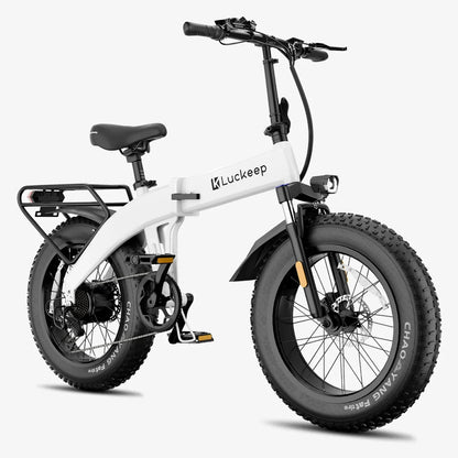 Fold Electric Bike 1400W Peak Motor Removable Battery E Bike 20 Inch Fat Tire.