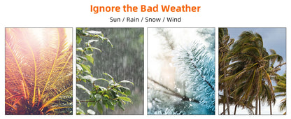 Heavy Duty Large Dog Kennel  Welded Metal Playpen  with Roof