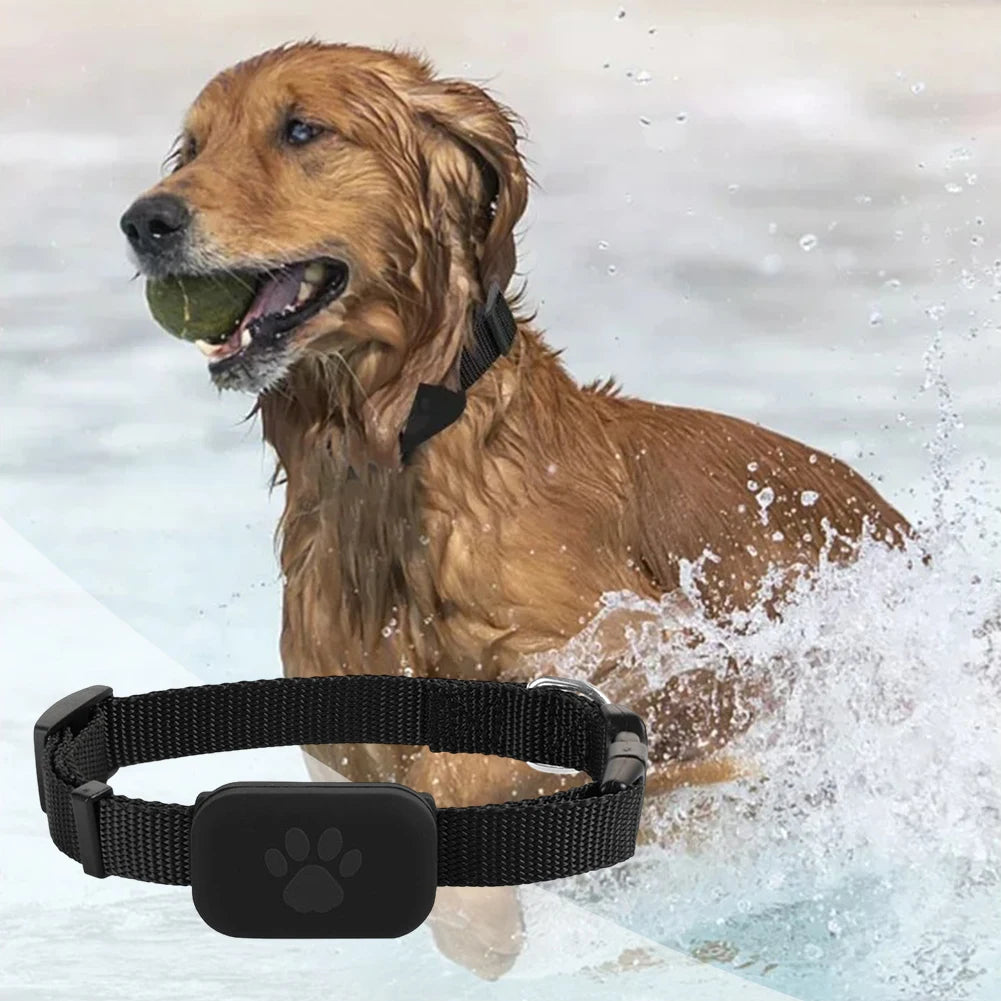 Pet GPS Tracker with Adjustable Collar Smart Pet Locator