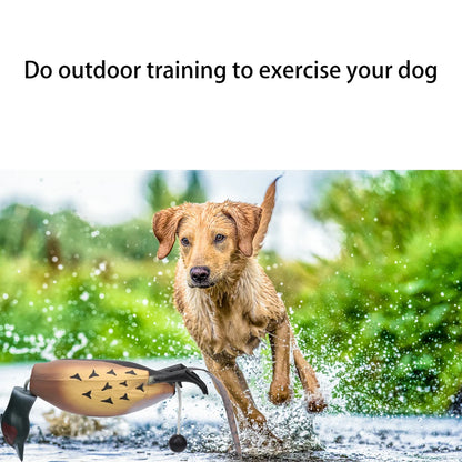 Pheasant Dummy Hunting Retriever Dog Duck Recognition Trainers