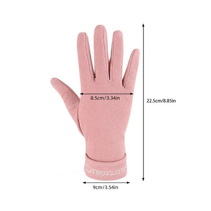 Women's Winter Warm Gloves Touchscreen Texting Thick Thermal Snow Gloves Suitable for Outdoor Work Driving MIAO