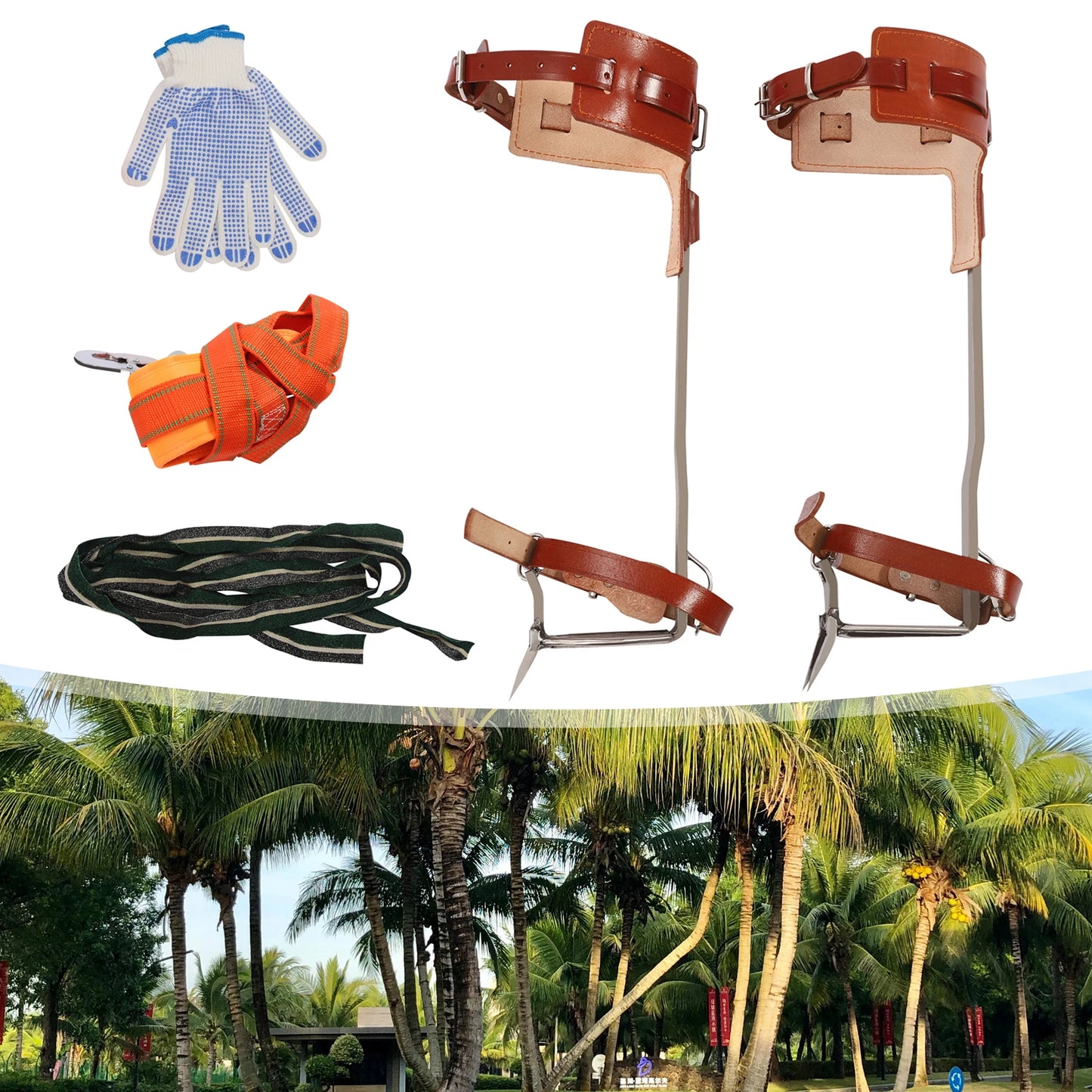 Tree Climbing Spike Gear Pedal Tool for Rock Climbing Tree Work Hunting Fruit Picking