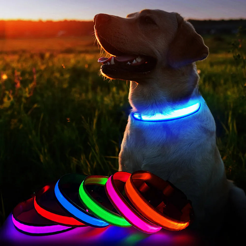 Dog Collar Luminous Pet Supplies Dog Collar Waterproof Safety Collars