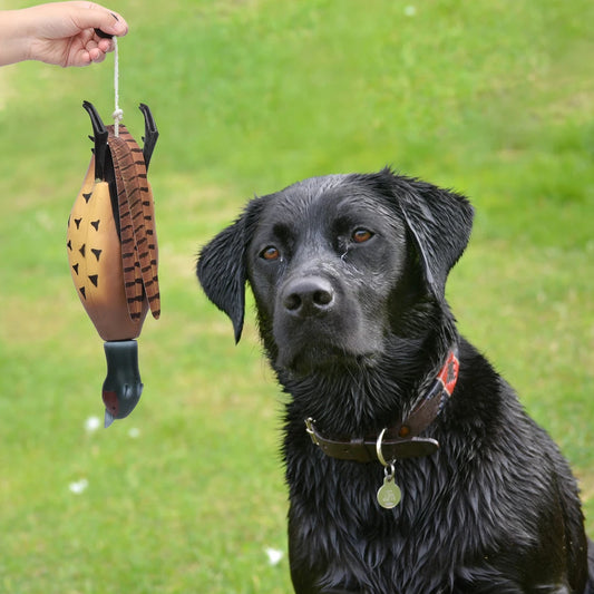 Pheasant Dummy Hunting Retriever Dog Duck Recognition Trainers
